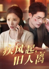 疾风起旧人离(32集) 疾风起旧人离(32集)免费短剧大全
