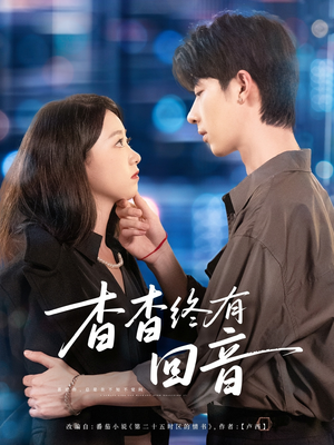 杳杳终有回音(66集) 杳杳终有回音(66集)免费看