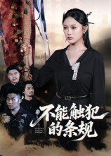 不能触犯的条规（50集）更新时间一览表