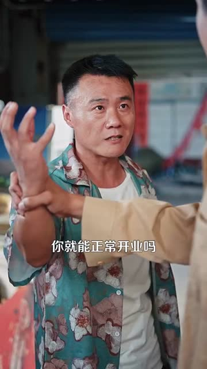 乡村小农民我靠系统发家致富 (100集) 短剧在哪个平台