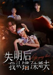 失明后我认错了未婚夫（34集）完整版