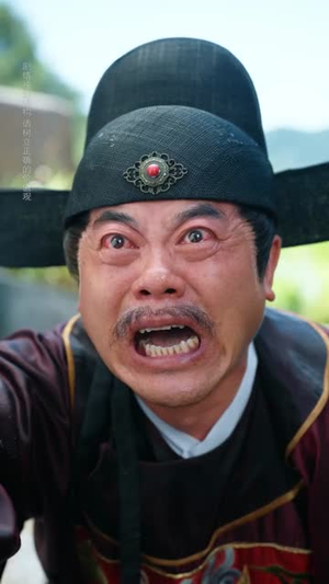 搜刮民脂民膏朕收你们来了 (53集)  搜刮民脂民膏朕收你们来了 (53集) 大结局一气呵成