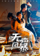 无声风暴(33集) 无声风暴(33集)全集免费观看