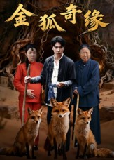 金狐奇缘(42集) 金狐奇缘(42集)热门短剧榜单