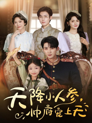 天降小人参，帅府宠上天（83集）集免费看短剧