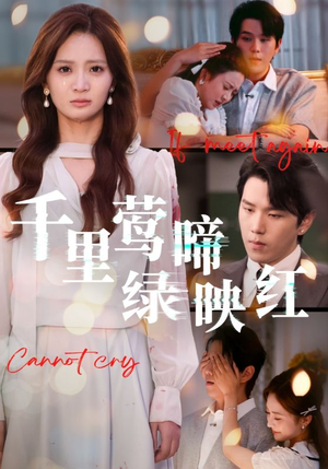 千里莺啼绿映红(63集) 千里莺啼绿映红(63集)流畅播放免费看