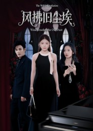 风拂旧尘埃（70集）短剧太精彩了