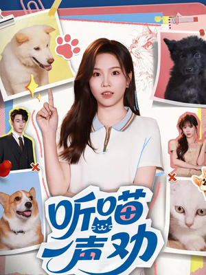 听喵一声劝(60集) 听喵一声劝(60集)UC网盘在线看