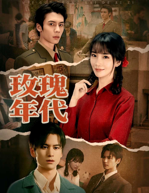 玫瑰年代（55集）1-102集