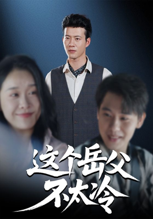 这个岳父不太冷(30集) 这个岳父不太冷(30集)短剧精彩绝伦