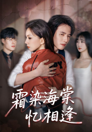 霜染海棠忆相逢（72集）好看的短剧电影