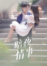 暗夜情事(100集) 暗夜情事(100集)短剧完整版免费