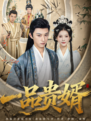 一品贵婿（80集）追风的女孩短剧