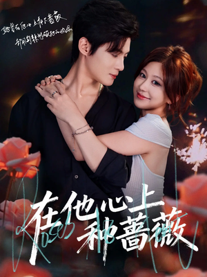 在他心上种蔷薇(81集) 在他心上种蔷薇(81集)今日最火短剧