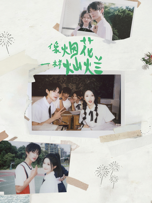 像烟花一样灿烂(60集) 像烟花一样灿烂(60集)短剧全集完整版