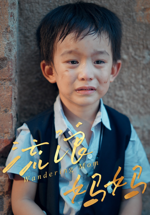 流浪妈妈(30集) 流浪妈妈(30集)在哪看是免费的