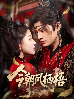 今朝凤栖梧(68集) 今朝凤栖梧(68集)热播短剧排行榜