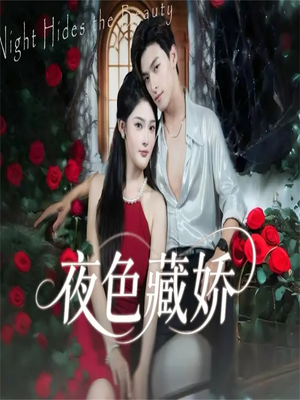 夜色藏娇（65集）短剧完整版免费