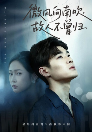 微风向南吹,故人不曾归(72集) 微风向南吹,故人不曾归(72集)男频短剧推荐