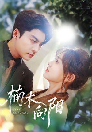 楠木向阳(70集) 楠木向阳(70集)独家资源免费看