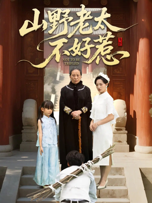 奶奶一脚震全城(64集) 奶奶一脚震全城(64集)口碑之选免费看