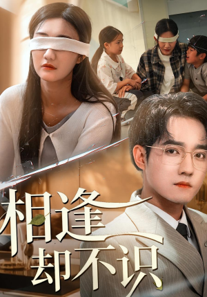 相逢却不识(77集) 相逢却不识(77集)好看的短剧电影