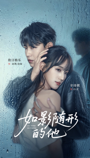如影随形的他(30集) 如影随形的他(30集)古装短剧推荐