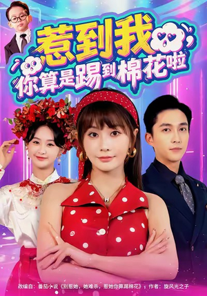 惹到我,你算是踢到棉花啦(67集) 惹到我,你算是踢到棉花啦(67集)热播短剧排行榜