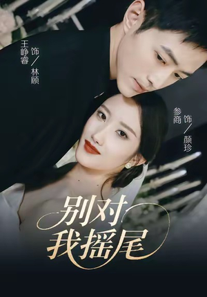 别对我摇尾(59集) 别对我摇尾(59集)高分推荐免费看