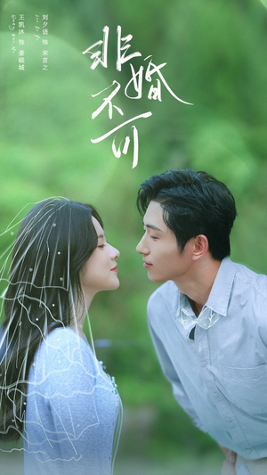 非婚不可(65集) 非婚不可(65集)每日短剧追不停