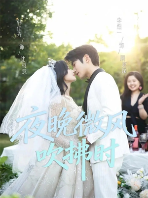 夜晚微风吹拂时(61集) 夜晚微风吹拂时(61集)男频短剧推荐
