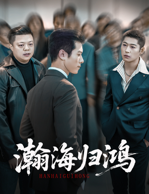 瀚海归鸿(74集) 瀚海归鸿(74集)免费短剧看全集