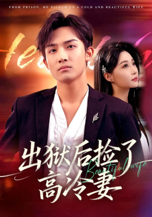 出狱后捡了高冷妻(71集) 出狱后捡了高冷妻(71集)热播短剧全集看