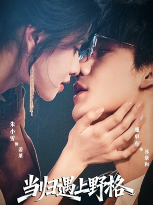 当归遇上野格(66集) 当归遇上野格(66集)海量资源免费看