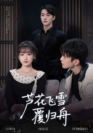 芦花飞雪覆归舟(77集) 芦花飞雪覆归舟(77集)口碑之选免费看