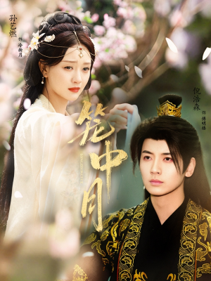 笼中月(65集) 笼中月(65集)全集一次看完