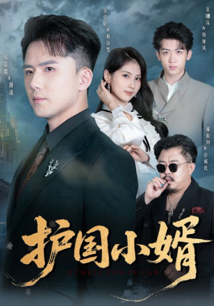 护国小婿(60集) 护国小婿(60集)短剧精彩片段