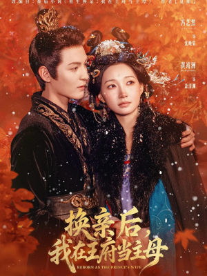 换亲后,我在王府当主母(80集) 换亲后,我在王府当主母(80集)大结局一气呵成