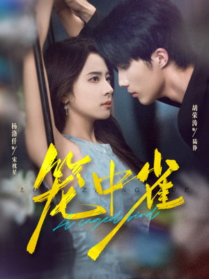 笼中雀(65集) 笼中雀(65集)火热短剧抢先看