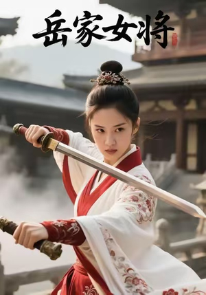 岳家女将(20集) 岳家女将(20集)大结局