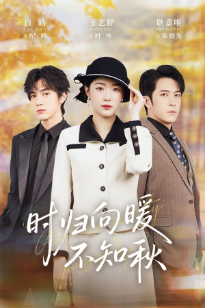 第二十八年冬（51集）大结局