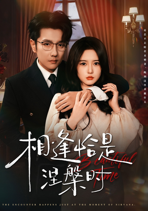 相逢恰是涅槃时（63集）热门短剧在线看