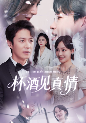 杯酒见真情(68集) 杯酒见真情(68集)古装短剧推荐