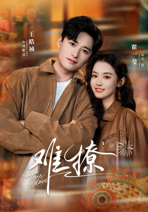 难撩（100集）男主角是谁