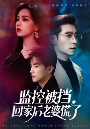 监控被挡，回家后老婆慌了（60集）口碑爆棚免费看