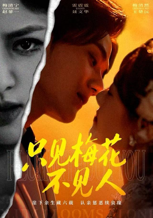 只见梅花不见人（63集）短剧有好货推荐