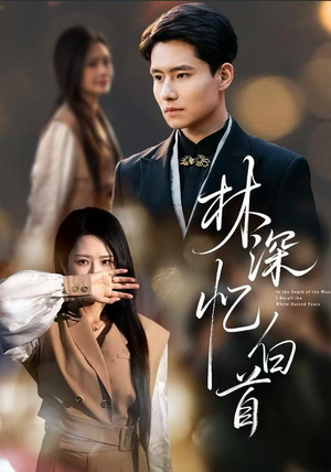 林深忆白首（60集）更新时间一览表