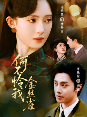 何不怜我金丝雀(60集) 何不怜我金丝雀(60集)短视频追剧推荐