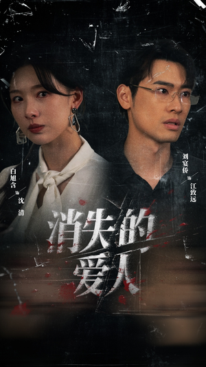 消失的爱人（56集）全集