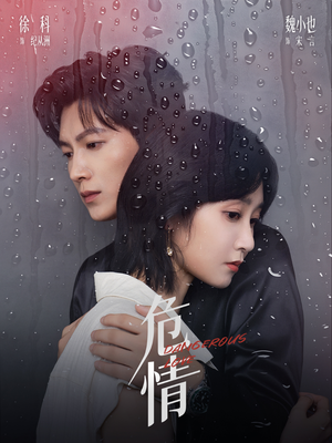 危情（65集）好看的短剧来了